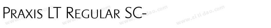 Praxis LT Regular SC字体转换